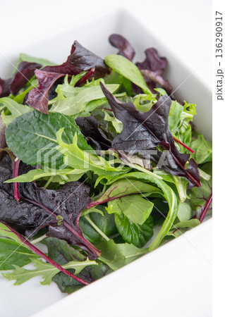 白い角皿に入れたベビーリーフ 白い角皿に入れたベビーリーフ 136290917