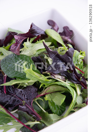 白い角皿に入れたベビーリーフ 136290918