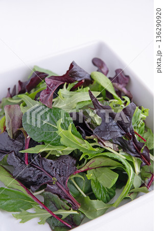 白い角皿に入れたベビーリーフ 白い角皿に入れたベビーリーフ 136290920