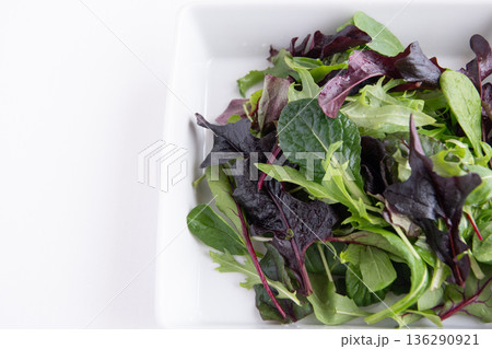 白い角皿に入れたベビーリーフ 136290921