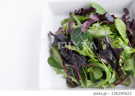白い角皿に入れたベビーリーフ 136290922