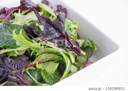 白い角皿に入れたベビーリーフ 136290952