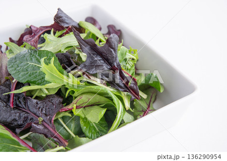 白い角皿に入れたベビーリーフ 136290954