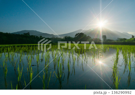 beautiful morning view indonesia panorama landscape beach with beauty color and sky natural light beautiful morning view indonesia panorama landscape beach with beauty color and sky natural light 136290992