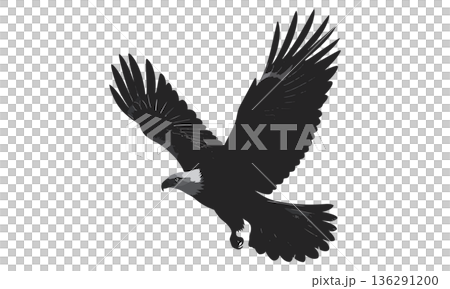 剪影[飛鷹] 136291200