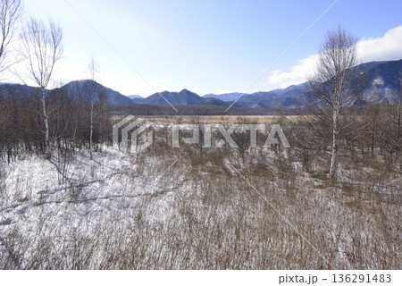 冬の戦場ヶ原 136291483
