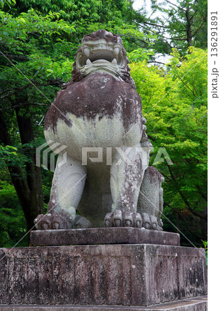 武田神社（甲府） 136291891