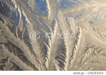 窓に張る氷の結晶のイメージ 窓に張る氷の結晶のイメージ 136291924