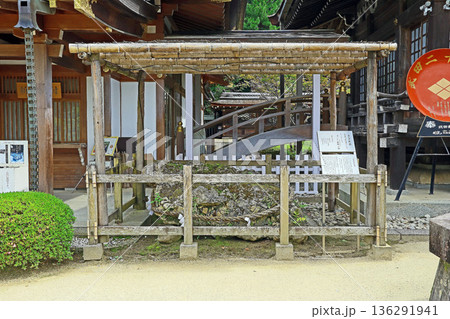 武田神社(甲府) 武田神社(甲府) 136291941