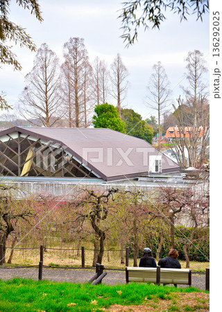 《愛知県》名古屋市農業センターのしだれ梅園 136292025