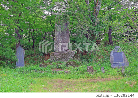 武田神社(甲府) 武田神社(甲府) 136292144