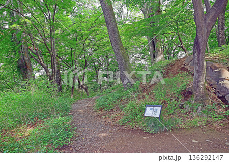 武田神社(甲府) 武田神社(甲府) 136292147