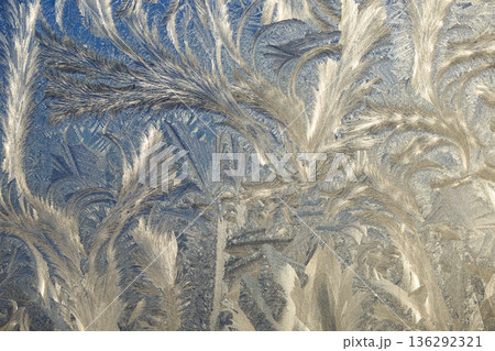 窓に張る氷の結晶のイメージ 窓に張る氷の結晶のイメージ 136292321