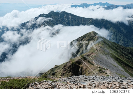 鹿島槍ヶ岳から望む爺ヶ岳への稜線　雲海に浮かぶ北アルプスの山景色 136292378