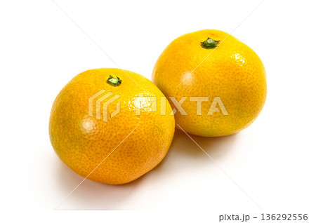 熊本名産、たまなみかん 136292556