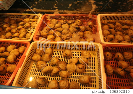 伊東温泉へ家族旅行 136292810