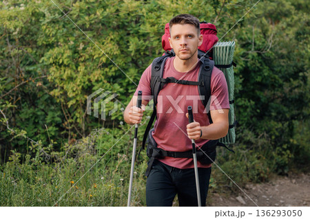 Hiker handsome man trekking through forest path with backpack and poles Hiker handsome man trekking through forest path with backpack and poles 136293050