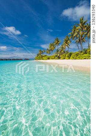 Paradise beach tropical island soft sand palm trees calm ocean waves summer vacation scenic wallpaper background 136293340