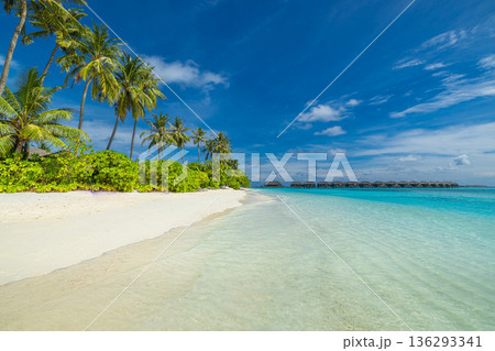 Tropical paradise beach calm ocean waves soft sand palm trees sunset sky summer vacation scenic wallpaper background 136293341