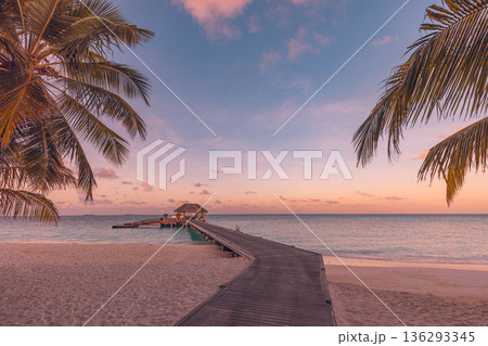 Gorgeous Maldives sunset pier and palm leaves. Tropical landscape summer nature background view Gorgeous Maldives sunset pier and palm leaves. Tropical landscape summer nature background view 136293345