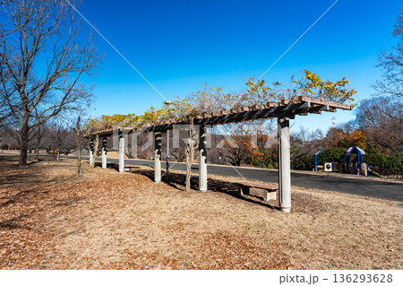 若葉台公園のベンチで一休み　東京都稲城市若葉台 136293628