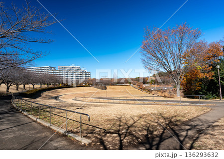 若葉台公園の段々広場 東京都稲城市若葉台 若葉台公園の段々広場 東京都稲城市若葉台 136293632