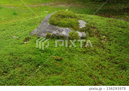 苔むした地面と石 苔むした地面と石 136293978