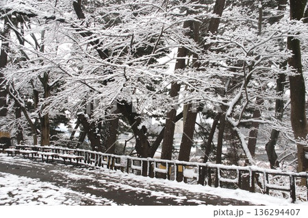 多摩川台公園 136294407