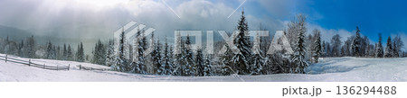 Snowy landscape with trees and a clear sky during winter in the mountains 136294488
