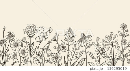 Wildflower seamless border with hand drawn meadow blooms, daisy and bellflower for vintage poster, rustic invitation botanical template. Isolated vector sketch banner Wildflower seamless border with hand drawn meadow blooms, daisy and bellflower for vintage poster, rustic invitation botanical template. Isolated vector sketch banner 136295019