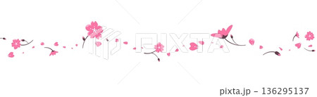 Sakura blossom flowers border with falling pink petals. Spring sale header, horizontal frame for banner, Japanese style text divider, headline for spring promotion poster. Vector template 136295137