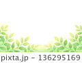 爽やかな新緑のフレーム 136295169