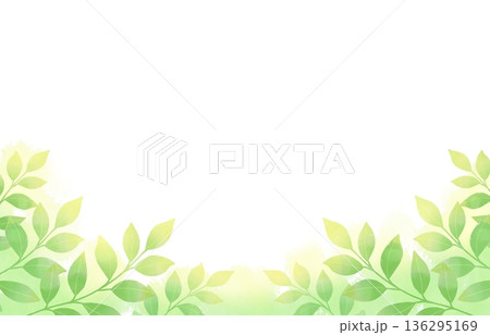 爽やかな新緑のフレーム 136295169