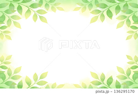 爽やかな新緑のフレーム 爽やかな新緑のフレーム 136295170