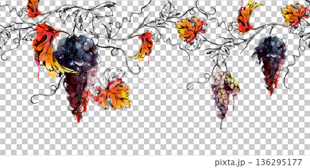 Botanical seamless strip of grape bunches, leaves hanging on vine branches with curling tendrils. Isolated illustration hand drawn in watercolor and ink for product trims, recipe layouts, winemaking Botanical seamless strip of grape bunches, leaves hanging on vine branches with curling tendrils. Isolated illustration hand drawn in watercolor and ink for product trims, recipe layouts, winemaking 136295177