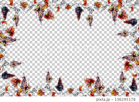 Botanical frame with red grape clusters on vines with leaves and tendrils hand painted in watercolor and ink. Organic branding, winery drink menus, packaging, tour invitations, kitchen decor prints Botanical frame with red grape clusters on vines with leaves and tendrils hand painted in watercolor and ink. Organic branding, winery drink menus, packaging, tour invitations, kitchen decor prints 136295178