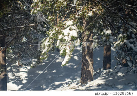 Pristine winter mountain views reveal snow-covered peaks and untouched alpine landscapes in the Sierra Nevada, Spain. 136295567