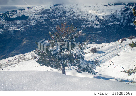 Pristine winter mountain views reveal snow-covered peaks and untouched alpine landscapes in the Sierra Nevada, Spain. Pristine winter mountain views reveal snow-covered peaks and untouched alpine landscapes in the Sierra Nevada, Spain. 136295568