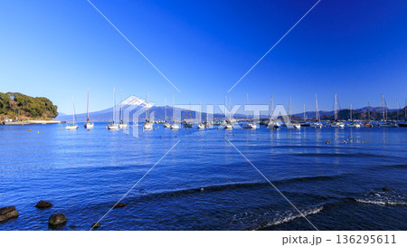 西伊豆から見た富士山 西伊豆から見た富士山 136295611