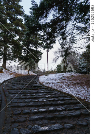 奈良 東大寺 二月堂　石段の参道 冬の情景 136295698