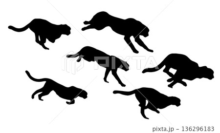 チーターの走るシルエット　連続動作（ベクター素材） 136296183