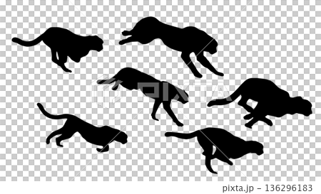 チーターの走るシルエット　連続動作（ベクター素材） 136296183