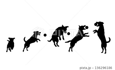 ボールをキャッチする犬　連続シルエット（ベクター素材） 136296186