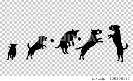ボールをキャッチする犬　連続シルエット（ベクター素材） 136296186