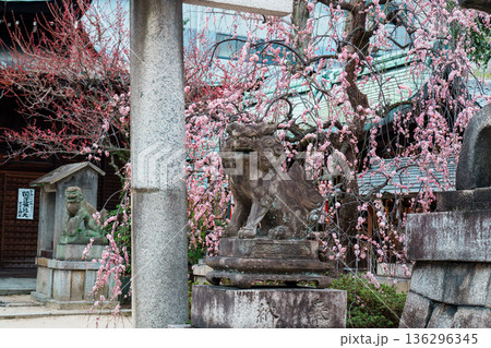 京都 菅大臣社 京都 菅大臣社 136296345