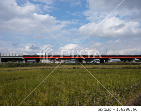 物井散策 136296366