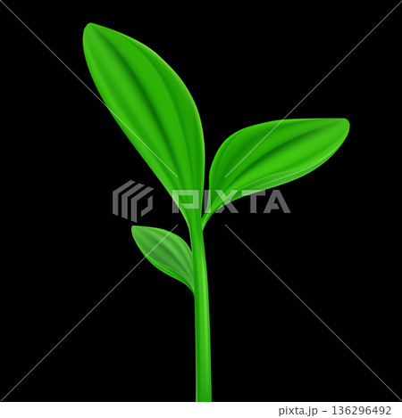 Green plant 136296492