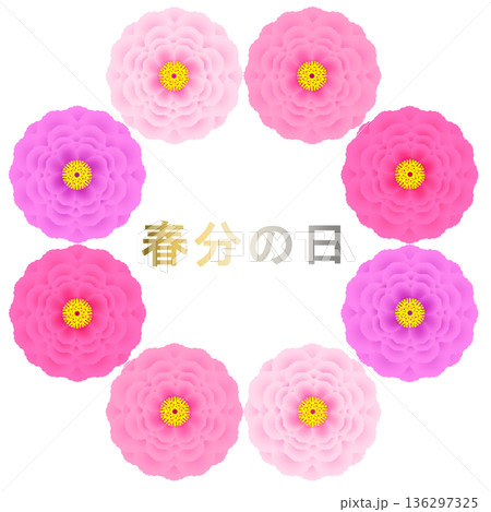 春分の日_牡丹のイラスト 136297325