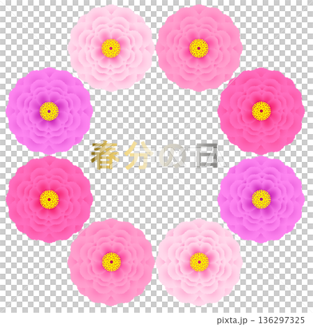 春分の日_牡丹のイラスト 136297325
