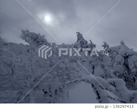 箕輪山 136297413
